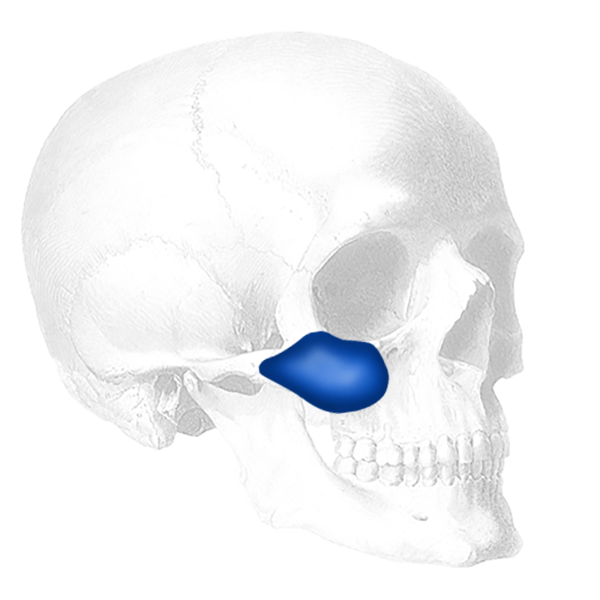 Sizer zu Combined Submalar Shell Implantate