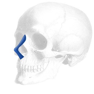 Sizer zu Anatomical Nasal Implantate