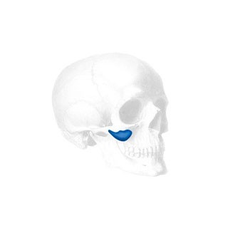 Sizer zu Conform Binder Submalar Implantate